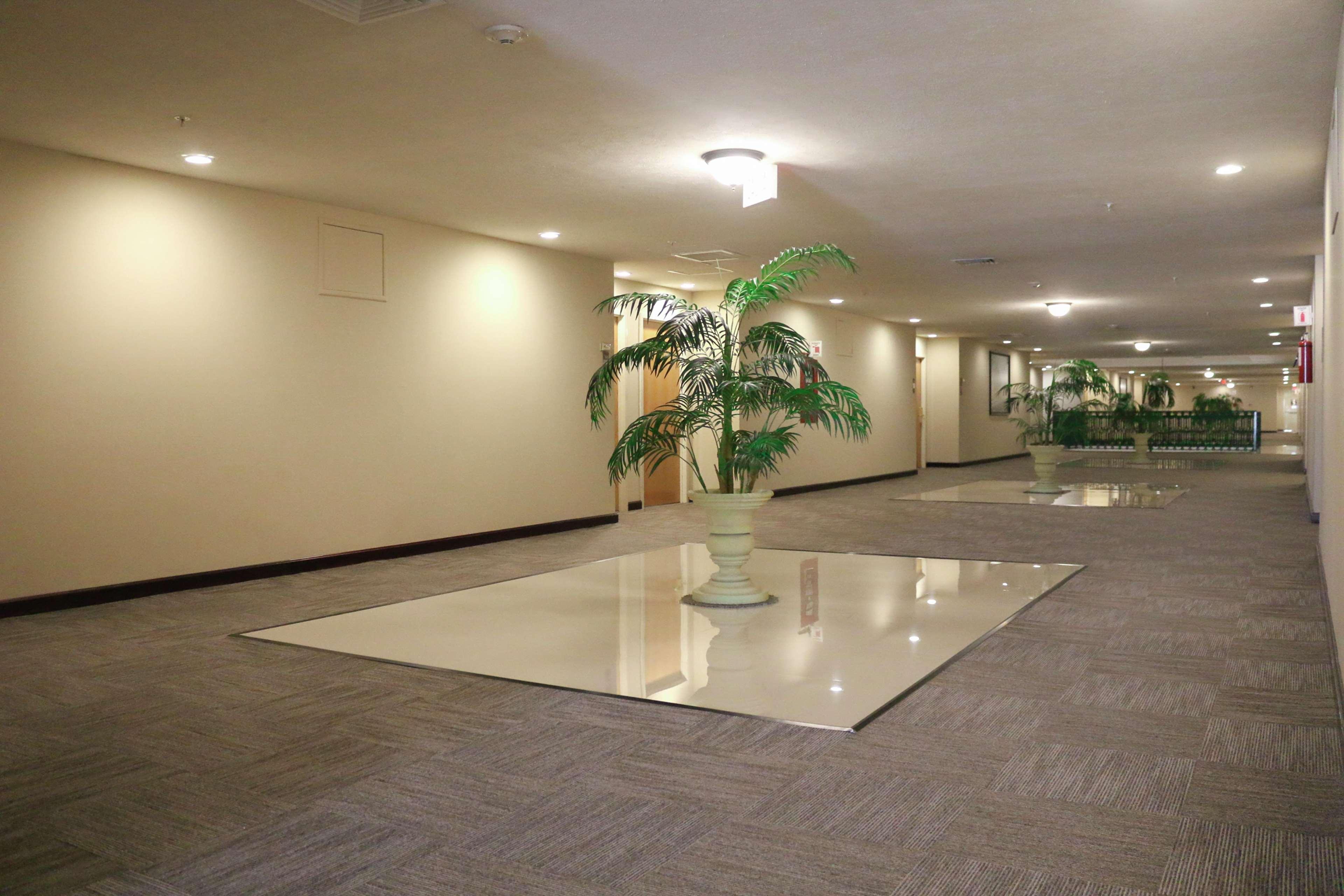 Hampton Inn Tampico Zona Dorada Eksteriør billede